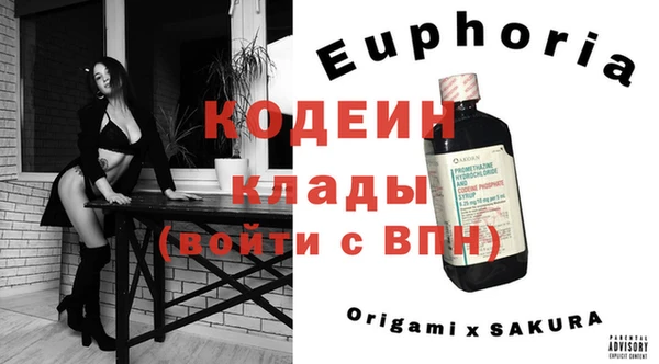 крисы Осинники