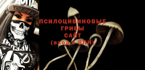 крисы Осинники