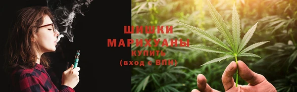 гидра Пересвет