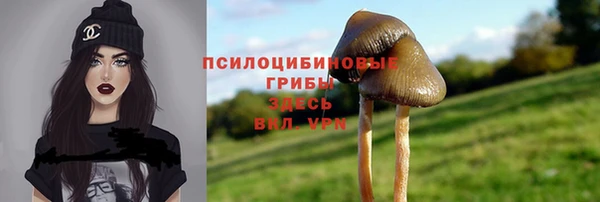 гашик Осташков