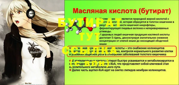 гашик Осташков
