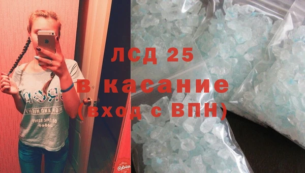 гашик Осташков