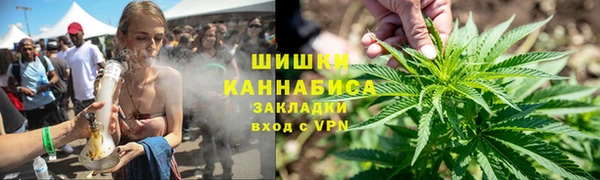 крисы Осинники