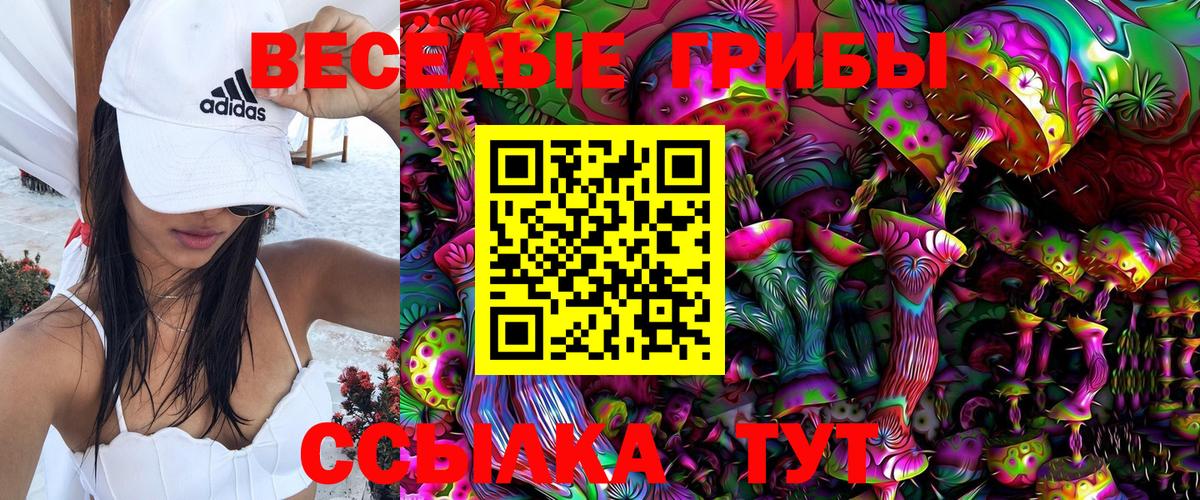 Галлюциногенные грибы Psilocybe  Конаково 