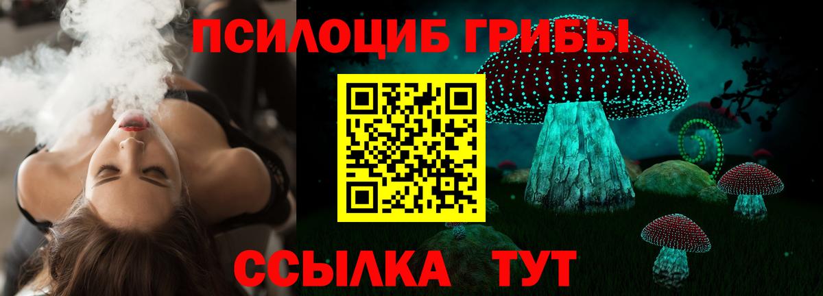 купить наркотики сайты  Псилоцибиновые грибы Psilocybine cubensis  Вход с VPN  Конаково 